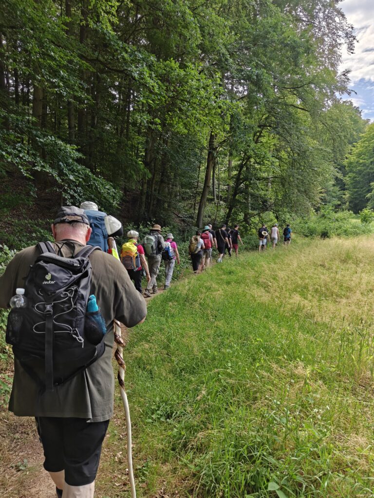 Walk_for_Help2026